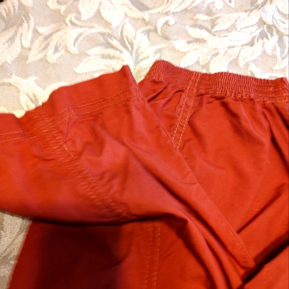 🍂 Fabulous Loft Rich Sienna Burnt Orange Ankle Active Wear Cargo Pants - 10 - Picture 5 of 14